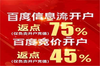 案例分析：竞价推广助力企业打造爆款产品