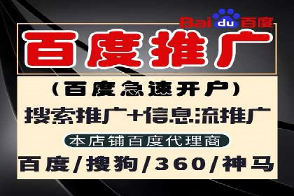 SEM广告投放案例：揭秘高转化率秘诀